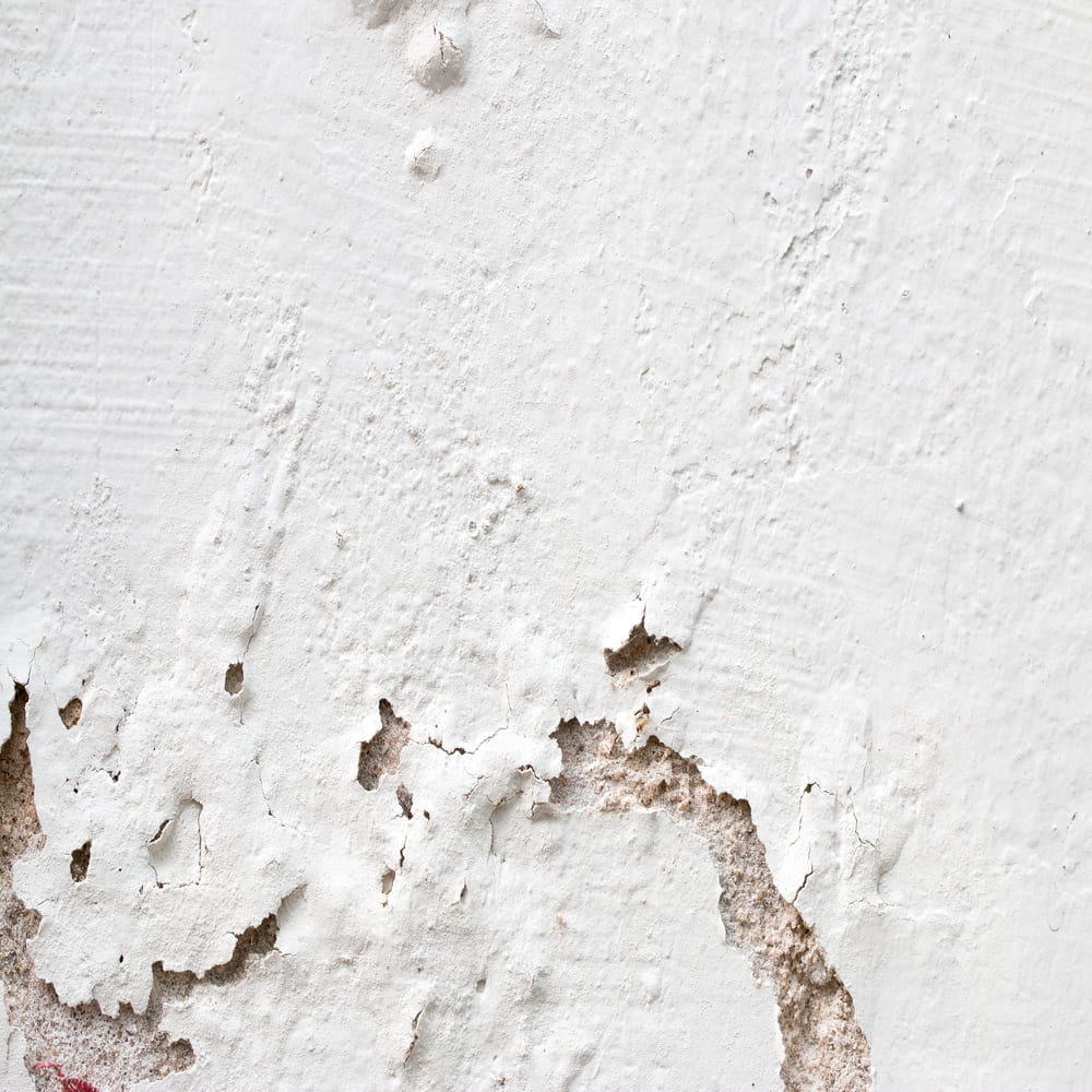 Common Drywall & Water Damage Problems In Houston Homes