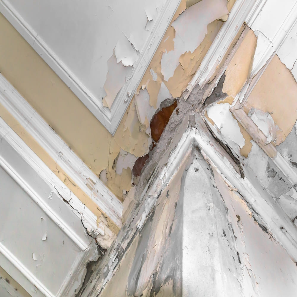 Residential drywall repairing service