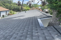 roof leak repair hoston